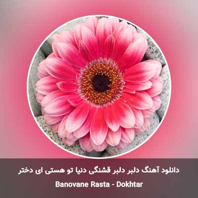 دانلود آهنگ دلبر دلبر قشنگی دنیا تو هستی ای دختر