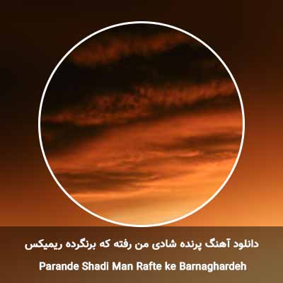 دانلود آهنگ پرنده شادی من رفته که برنگرده ریمیکس