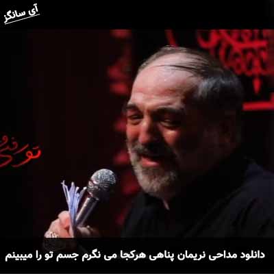 دانلود مداحی هرکجا می نگرم جسم تو را میبینم نریمان پناهی