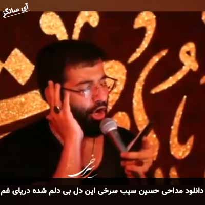 دانلود مداحی این دل بی دلم شده دریای غم حسین سیب سرخی