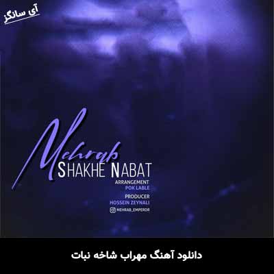 دانلود آهنگ شاخه نبات مهراب
