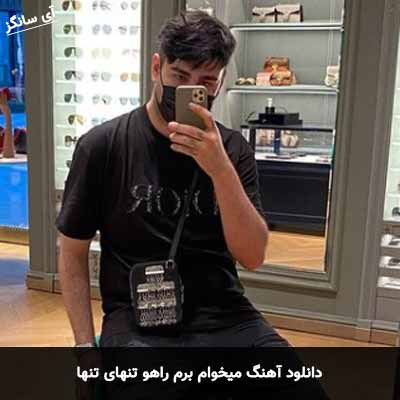 دانلود آهنگ میخوام برم راهو تنهای تنها پارسالیپ