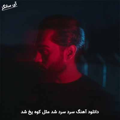 دانلود آهنگ سرد سرد شد مثل کوه یخ شد حامیم