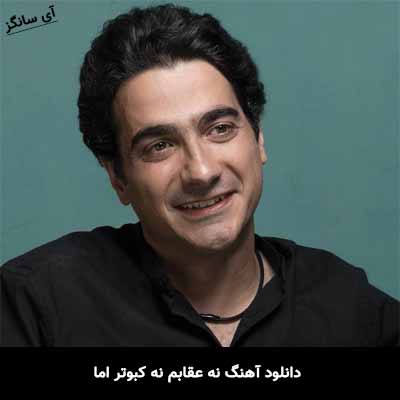 دانلود آهنگ نه عقابم نه کبوتر اما همایون شجریان