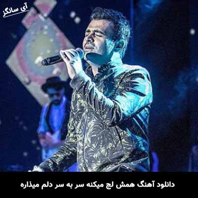 دانلود آهنگ همش لج میکنه سر به سر دلم میذاره میثم ابراهیمی