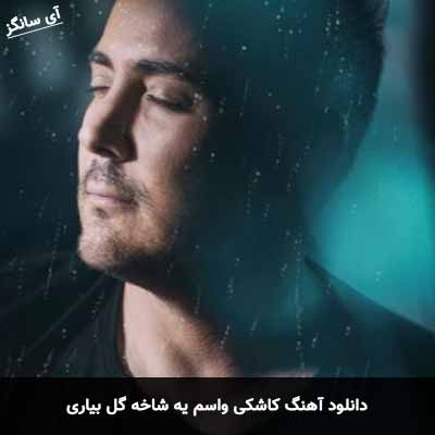دانلود آهنگ کاشکی واسم یه شاخه گل بیاری ناصر زینعلی
