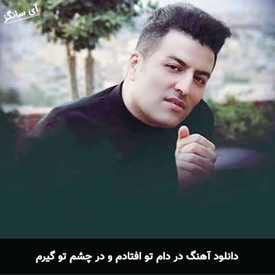 دانلود آهنگ در دام تو افتادم و در چشم تو گیرم پویا بیاتی