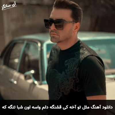 دانلود آهنگ مثل تو آخه کی قشنگه دلم واسه اون شبا تنگه که