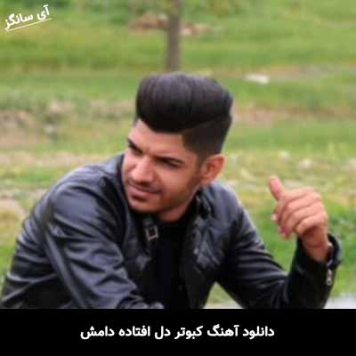 دانلود آهنگ کبوتر دل افتاده دامش ای کاش بدانه چنی میخوامش