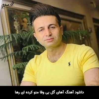 دانلود آهنگ آهای گل بی وفا منو کرده ای رها مرتضی جعفرزاده