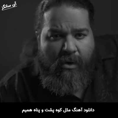 دانلود آهنگ مثل کوه پشت و پناه همیم رضا صادقی