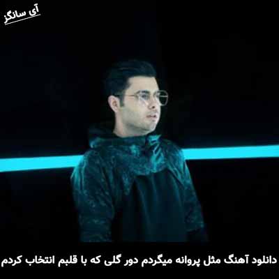 دانلود آهنگ مثل پروانه میگردم دور گلی که با قلبم انتخاب کردم