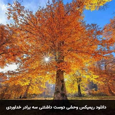 دانلود ریمیکس وحشی دوست داشتنی سه برادر خداوردی
