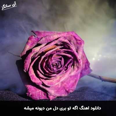 دانلود آهنگ اگه تو بری دل من دیونه میشه