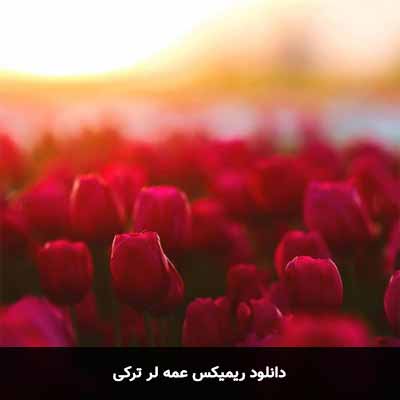 دانلود ریمیکس عمه لر عمه لر اورییدن اویناسینار ترکی