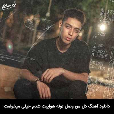 دانلود آهنگ دل من وصل توئه هواییت شدم خیلی میخوامت امیر خوشنگار