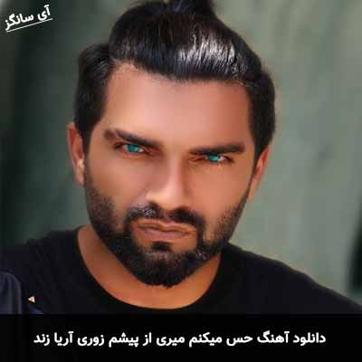 دانلود آهنگ حس میکنم میری از پیشم زوری آریا زند