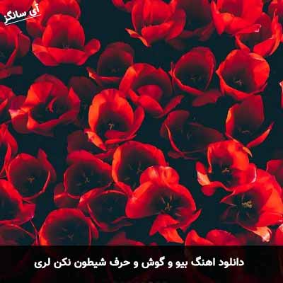 دانلود آهنگ لری بیو و گوش و حرف شیطون نکن