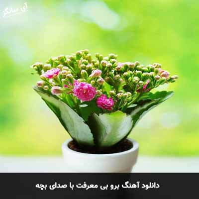 دانلود آهنگ برو بی معرفت با صدای بچه