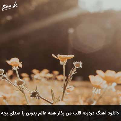 دانلود آهنگ دردونه قلب من بذار همه عالم بدونن با صدای بچه ریمیکس