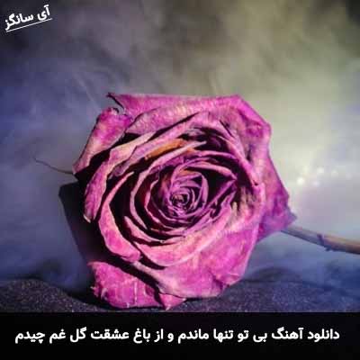 دانلود آهنگ بی تو تنها ماندم و از باغ عشقت گل غم چیدم فرهاد برومند
