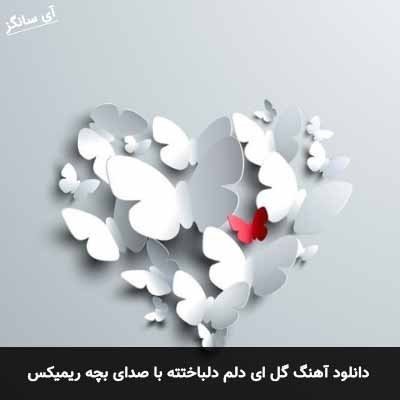 دانلود آهنگ گل ای دلم دلباختته حالی ندارم با صدای بچه ریمیکس