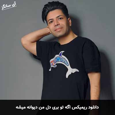 دانلود ریمیکس اگه تو بری دل من دیوانه میشه