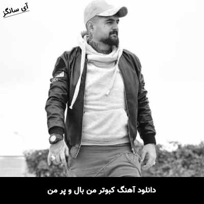 دانلود آهنگ کبوتر من بال و پر من میلاد افضلی