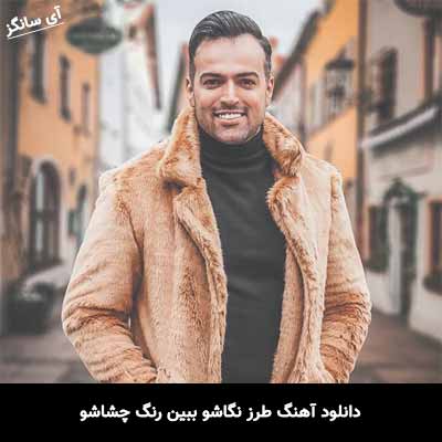دانلود آهنگ طرز نگاشو ببین رنگ چشاشو رامان روا