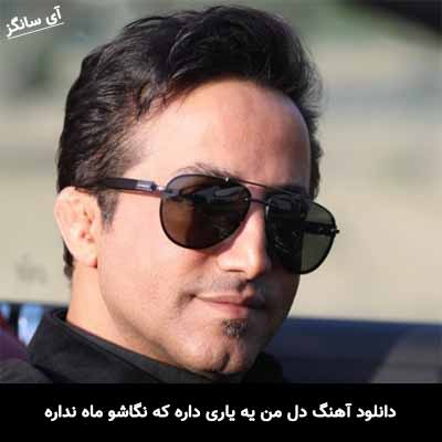 دانلود آهنگ دل من یه یاری داره که نگاشو ماه نداره سعید شایسته