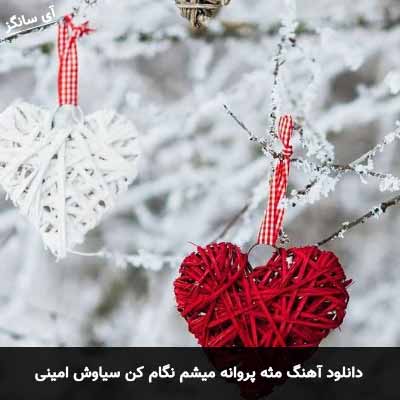 دانلود آهنگ مثه پروانه میشم نگام‌ کن سیاوش امینی