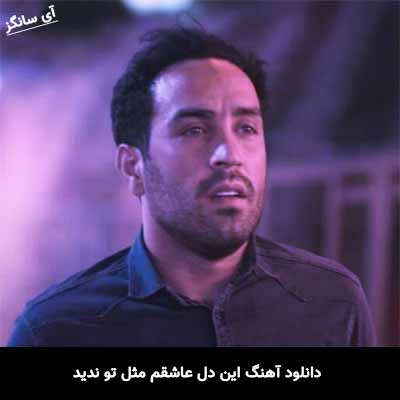 دانلود آهنگ این دل عاشقم مثل تو ندید احمد سلو