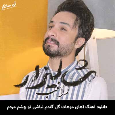 دانلود آهنگ آهای موهات گل گندم نباشی تو چشم مردم راغب