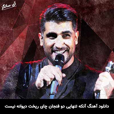 دانلود آهنگ آنکه تنهایی دو فنجان چای ریخت دیوانه نیست شهاب مظفری