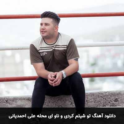 دانلود آهنگ تو شیتم کردی و ناو ای محله علی احمدیانی