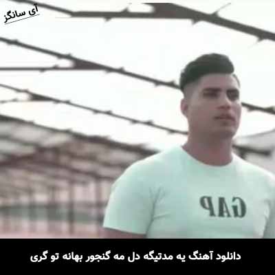 دانلود آهنگ یه مدتیگه دل مه گنجور بهانه تو گری امین فالجی