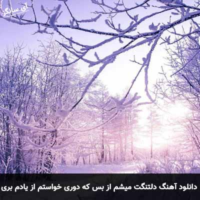 دانلود آهنگ دلتنگت میشم از بس که دوری خواستم از یادم بری