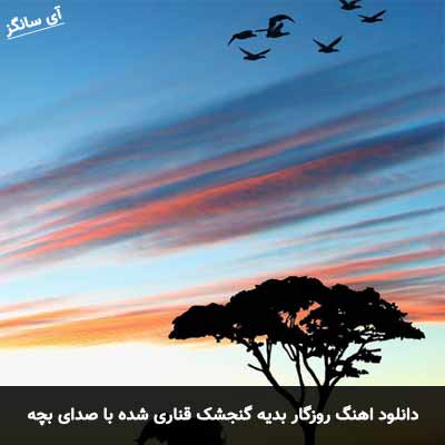 دانلود آهنگ روزگار بدیه گنجشک قناری شده با صدای بچه