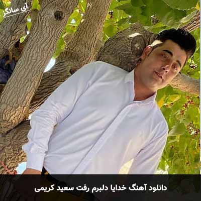 دانلود آهنگ خدایا دلبرم رفت سعید کریمی