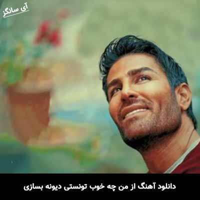 دانلود آهنگ از من چه خوب تونستی دیونه بسازی رضا ملک زاده