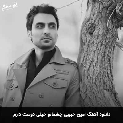دانلود آهنگ امین حبیبی چشماتو خیلی دوست دارم