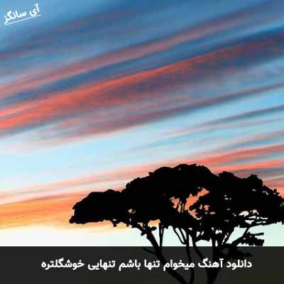دانلود آهنگ میخوام تنها باشم تنهایی خوشگلتره