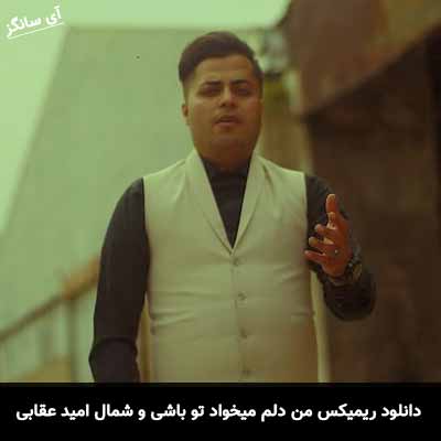 دانلود ریمیکس من دلم میخواد تو باشی و شمال امید عقابی