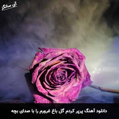 دانلود آهنگ پرپر کردم گل باغ غرورم را با صدای بچه