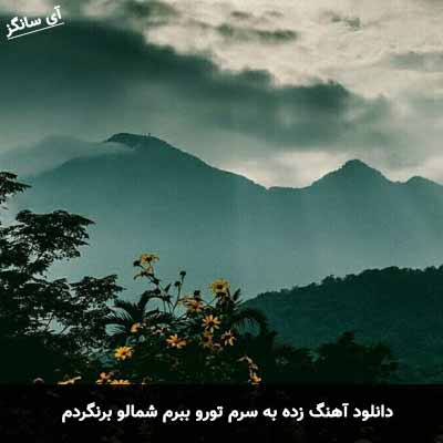 دانلود آهنگ زده به سرم تورو ببرم شمال و برنگردم