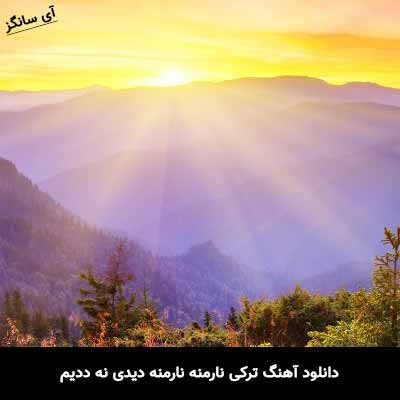 دانلود آهنگ ترکی نارمنه نارمنه دیدی نه ددیم سوگیمین قلبینه دیدی