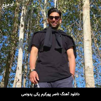 دانلود آهنگ ناصر پورکرم یکی یدونمی