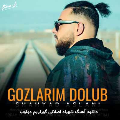 دانلود آهنگ شهیاد اصلانی گوزلریم دولوب