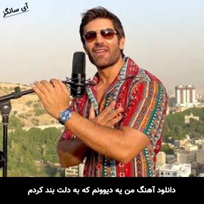 دانلود آهنگ من یه دیوونم که به دلت بند کردم رضا ملک زاده