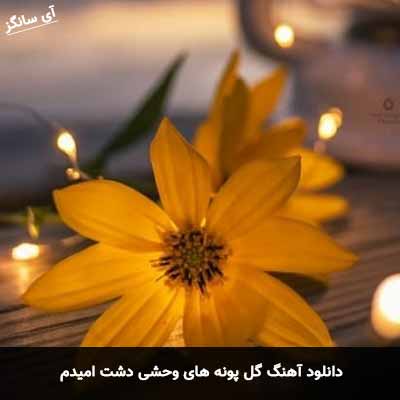 دانلود آهنگ گل پونه های وحشی دشت امیدم